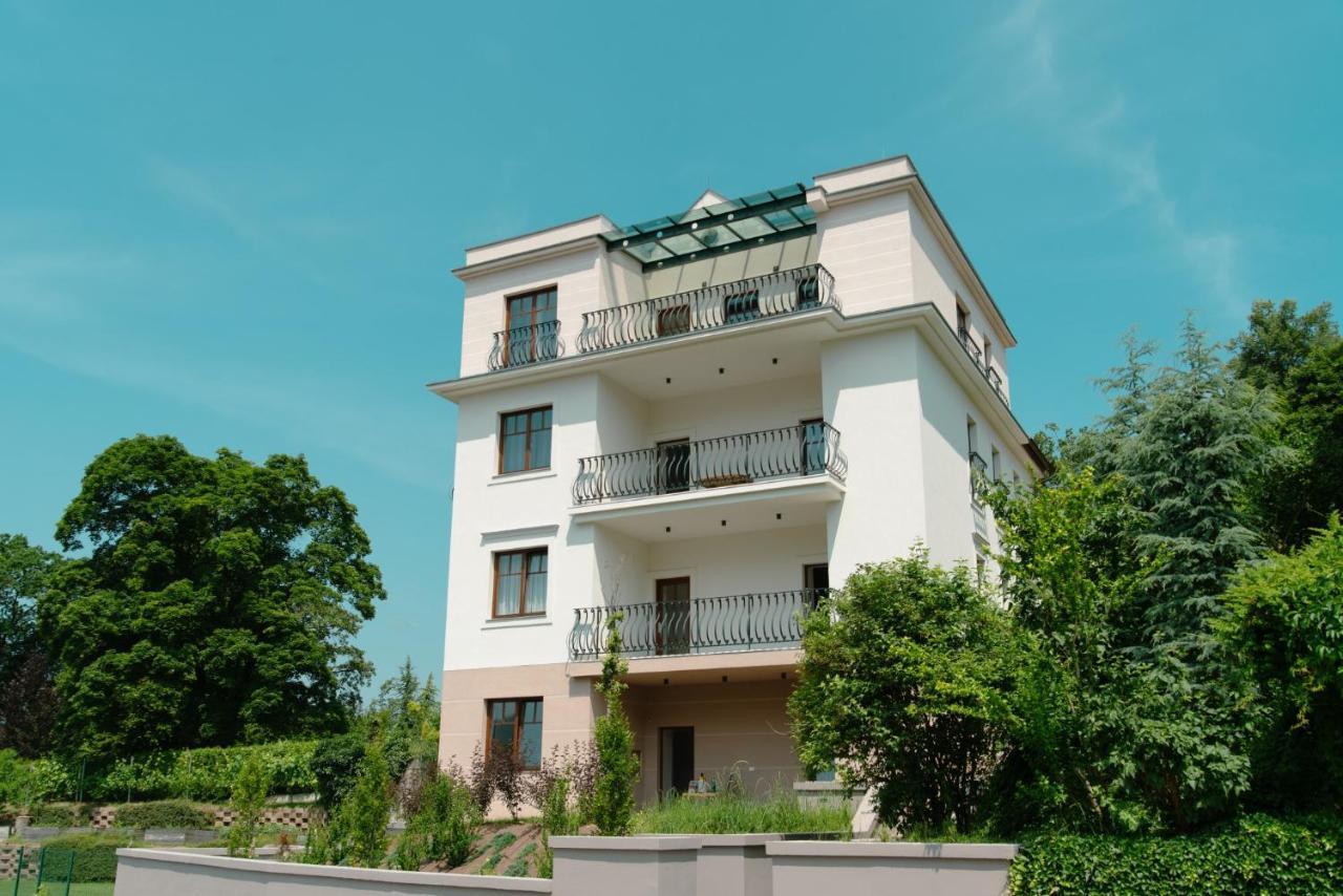 Vila Maister Celje Zewnętrze zdjęcie