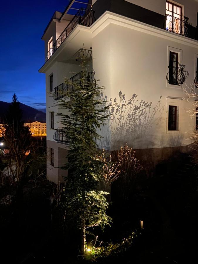 Vila Maister Celje Zewnętrze zdjęcie