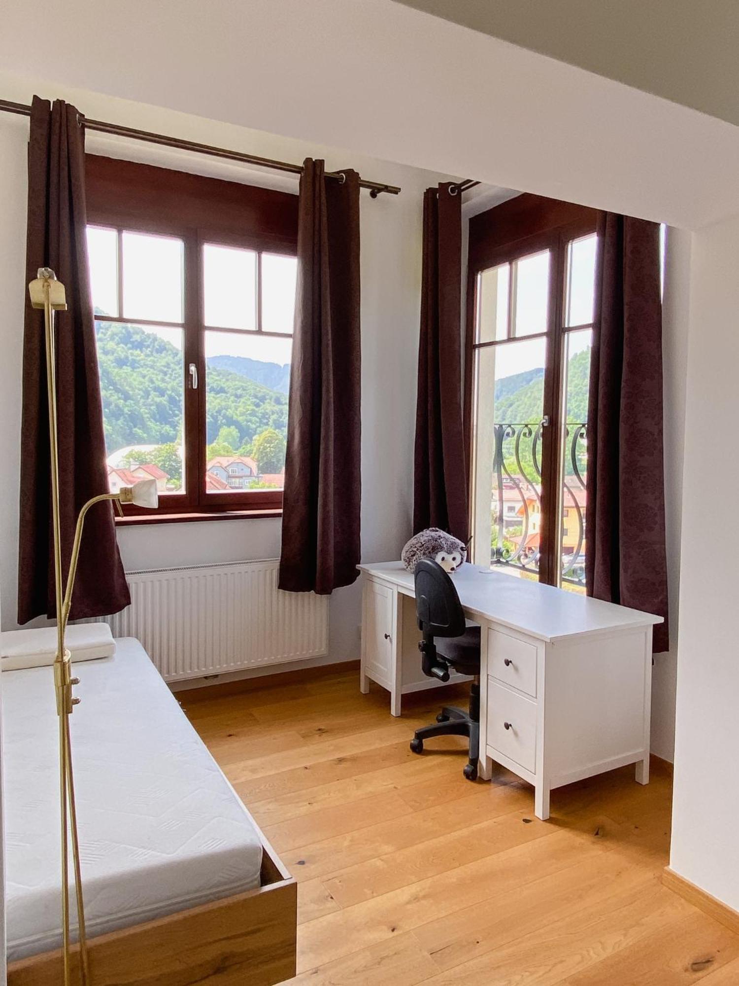 Vila Maister Celje Zewnętrze zdjęcie